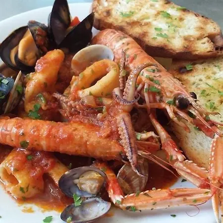 Nettuno سينِغاليا