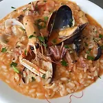 Nettuno Senigallia